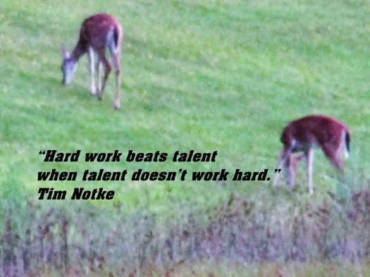 © Photo Artist Susan Ruth Robertson 090025006100 017 - Copy.JPG