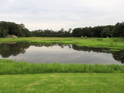 © Photo Artist Susan Ruth Robertson 090025006100 028.JPG