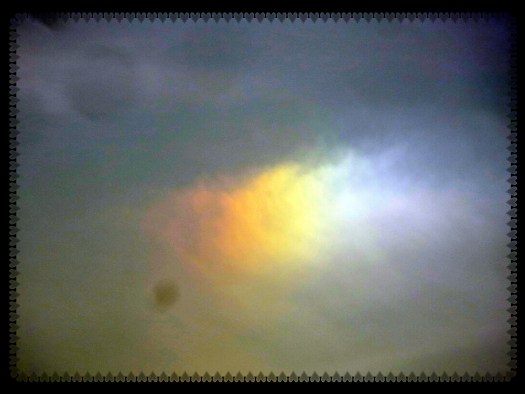 © Photo Artist Susan Ruth Robertson 090025006100 007.JPG