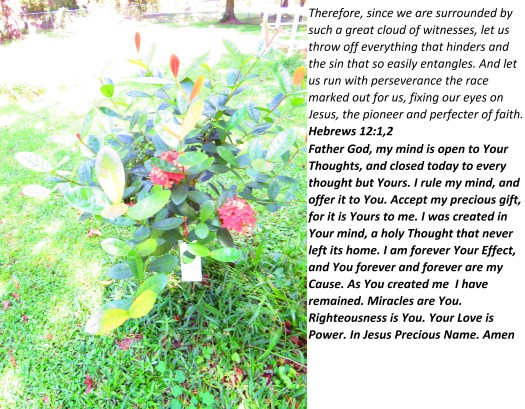 © Photo Artist Susan Ruth Robertson 090025006100 SX 400 IS  (2).JPG